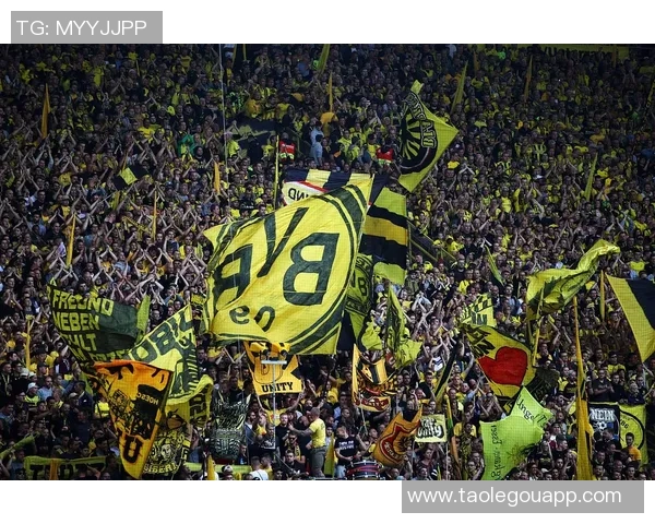 多特蒙德与法兰克福精彩对决直播全程回顾与分析 多特蒙德与法兰克福精彩对决直播全程回顾与分析